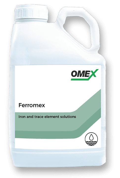 Ferromex