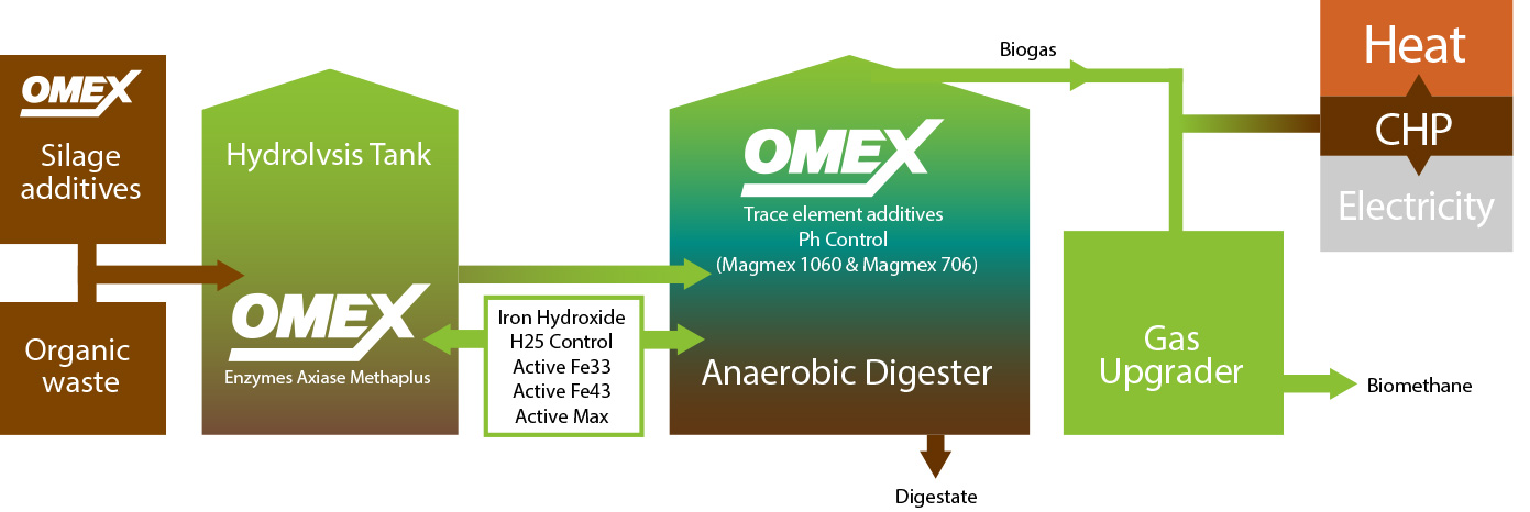 Anaerobic digestion