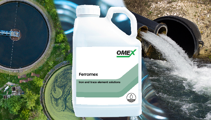 Environmentally friendly removal of phosphorous in wastewater