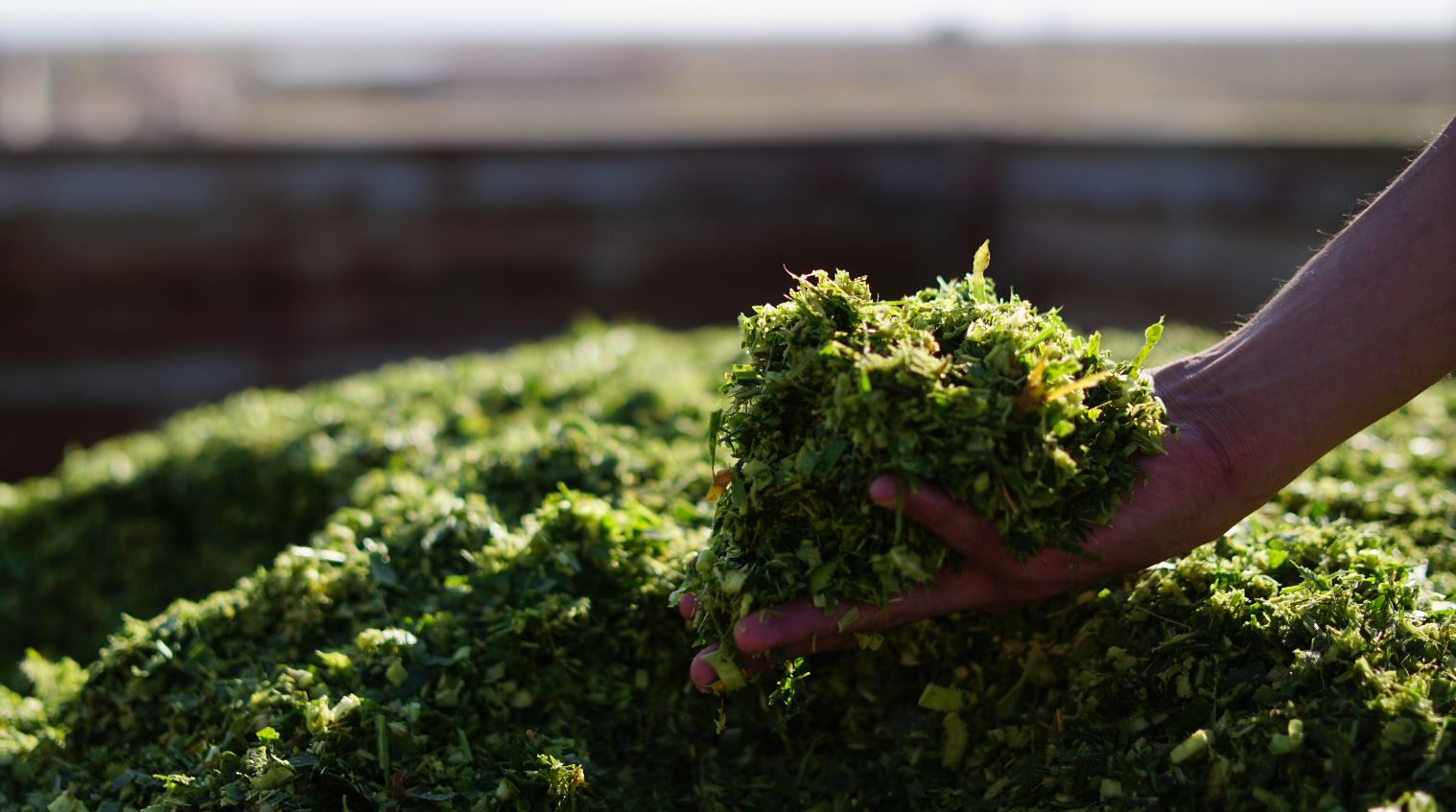 Improved performance in Biogas with OMEX pHast®