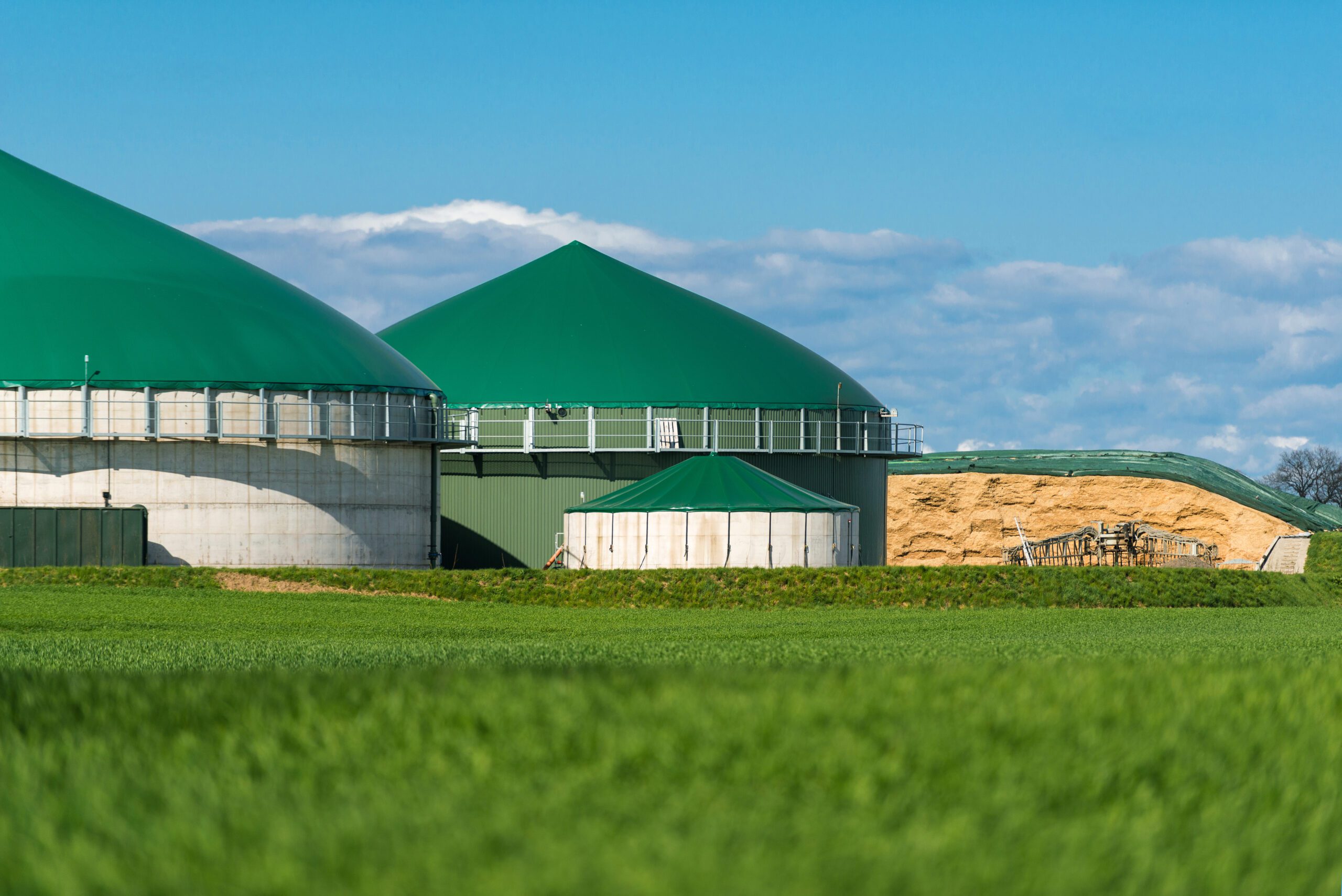 Optimize biogas output with Enzymes