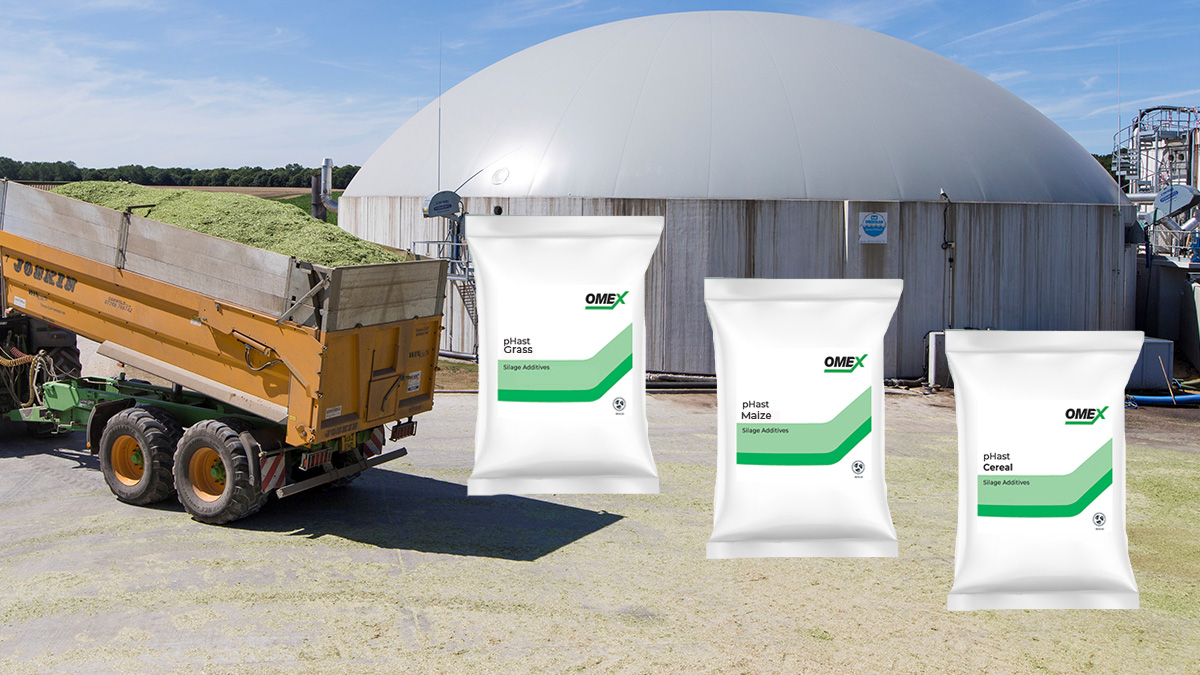 Enhanced AD Plant Performance with Silage Additives from OMEX